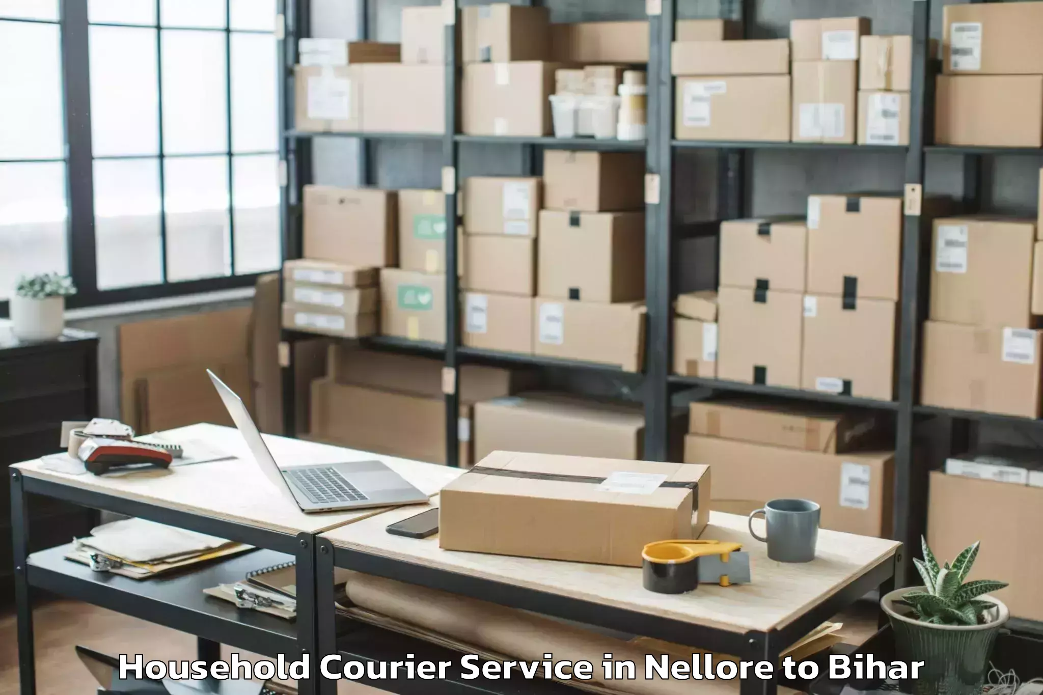 Professional Nellore to Lalit Narayan Mithila Universi Household Courier